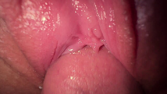 quickie teensex cum inside clips pussy